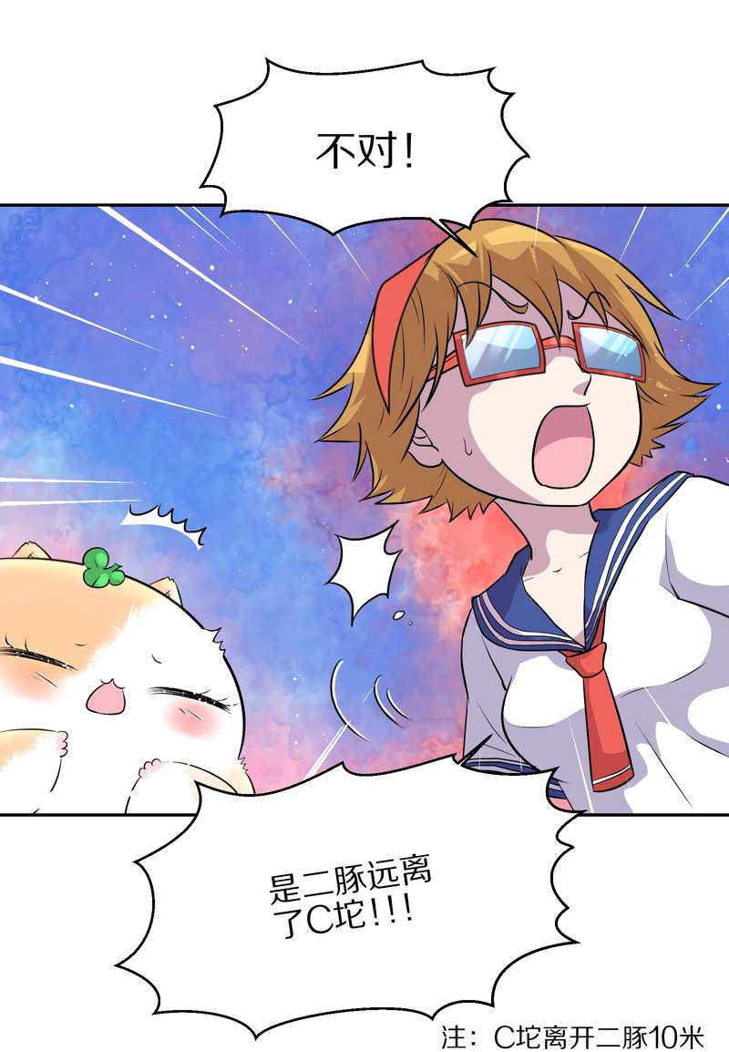 毛球星传说 第50集(1/2)-第50话