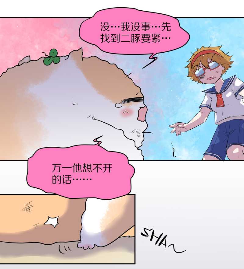 毛球星传说 第50集(1/2)-第50话