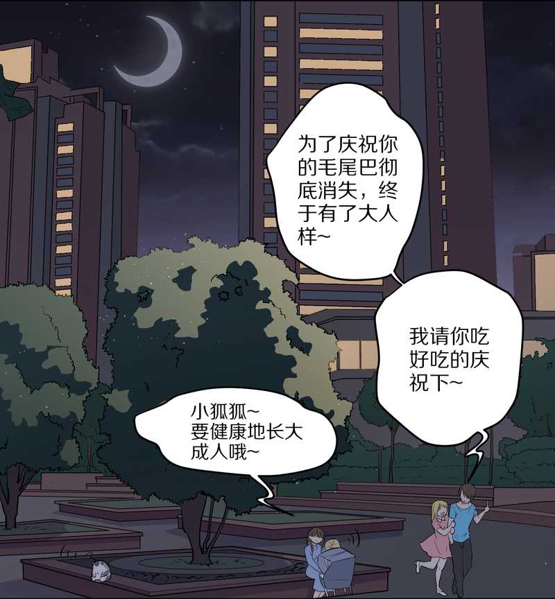毛球星传说 第50集(1/2)-第50话