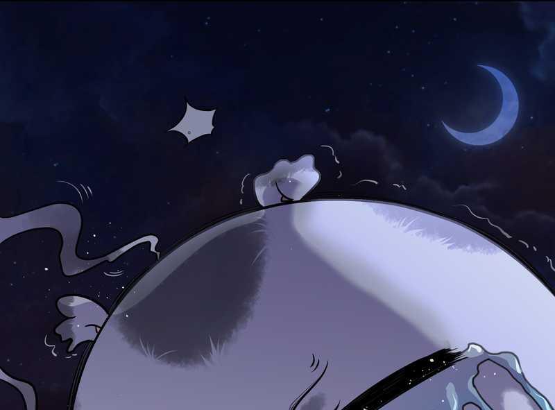 毛球星传说 第50集(1/2)-第50话