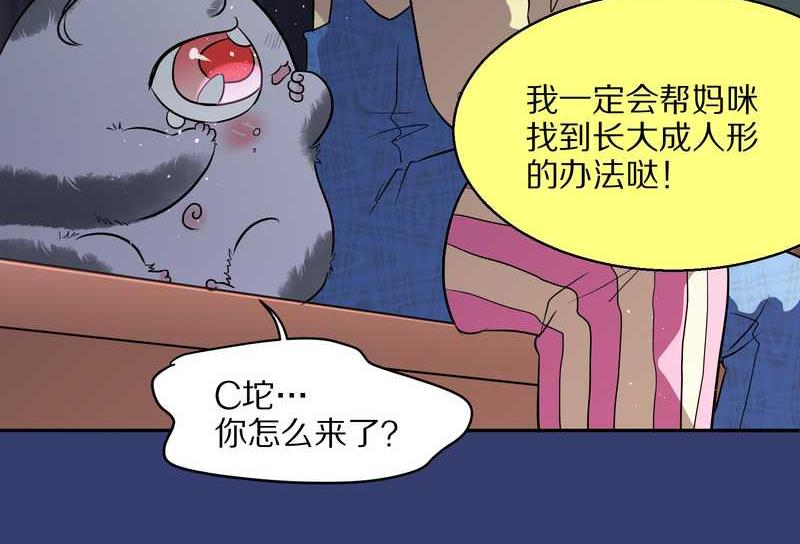 毛球星传说 第50集(1/2)-第50话