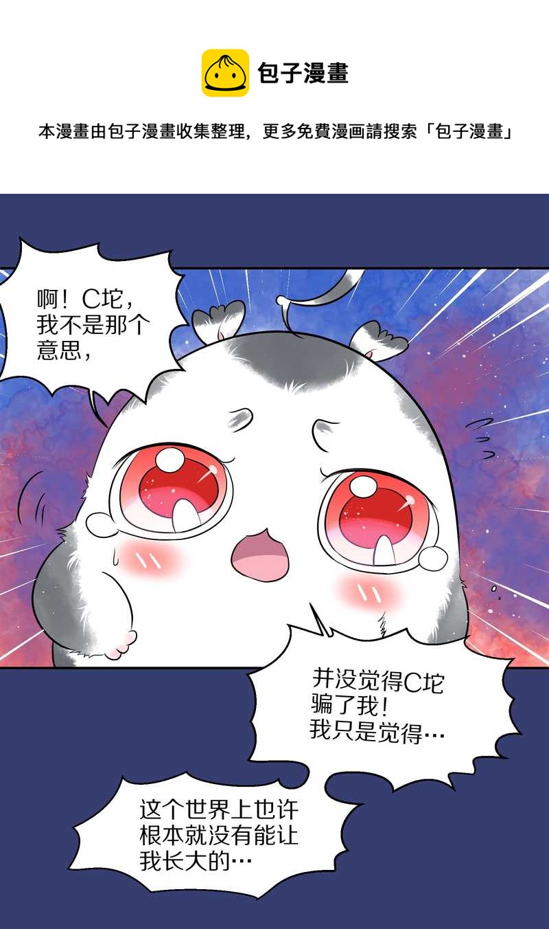 毛球星传说 第50集(1/2)-第50话