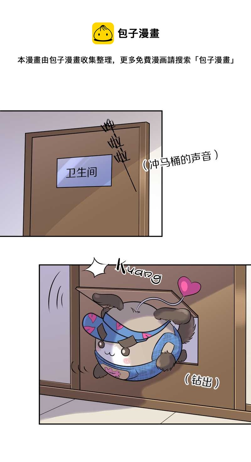 毛球星传说 第50集(1/2)-第50话