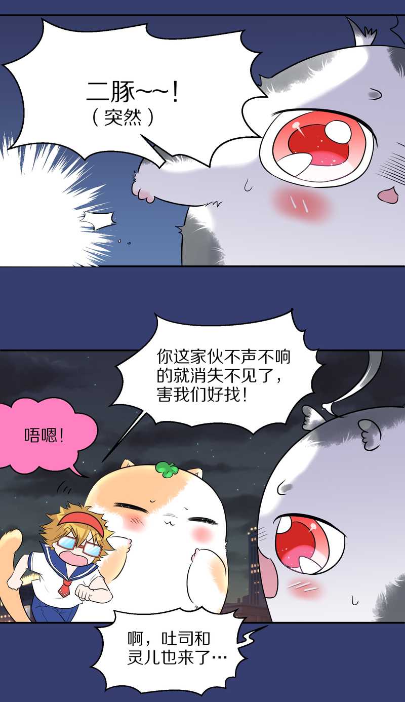 毛球星传说 第50集(1/2)-第50话