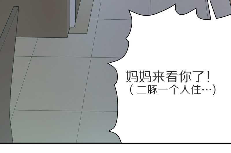毛球星传说 第6集-第6话