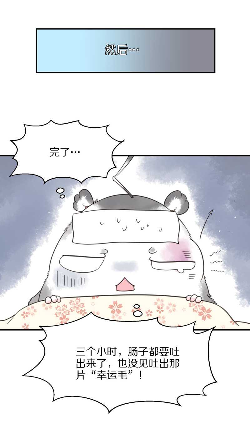 毛球星传说 第6集-第6话