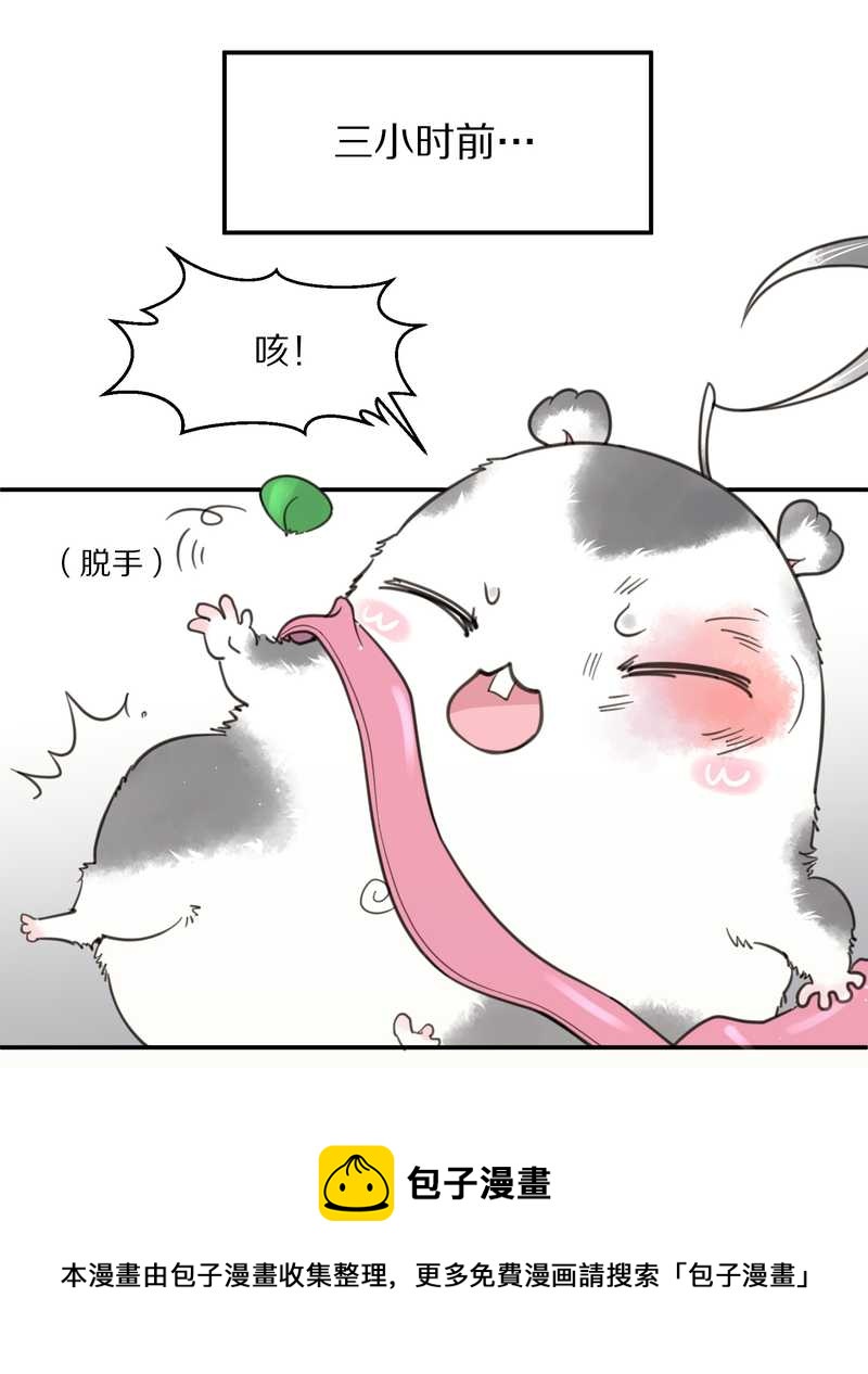 毛球星传说 第6集-第6话