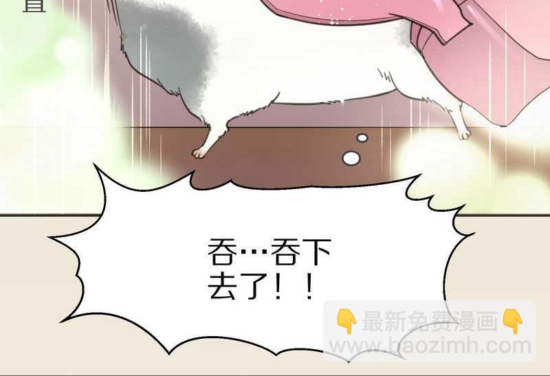 毛球星传说 第6集-第6话