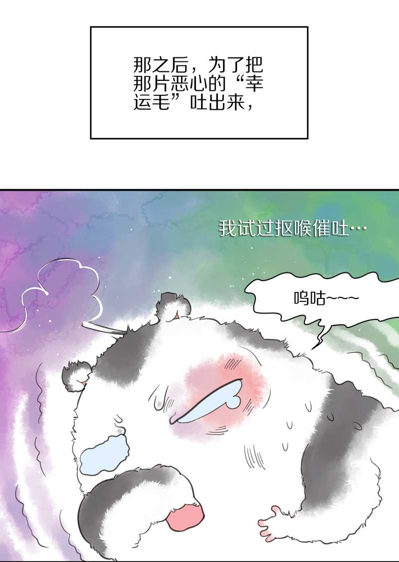 毛球星传说 第6集-第6话