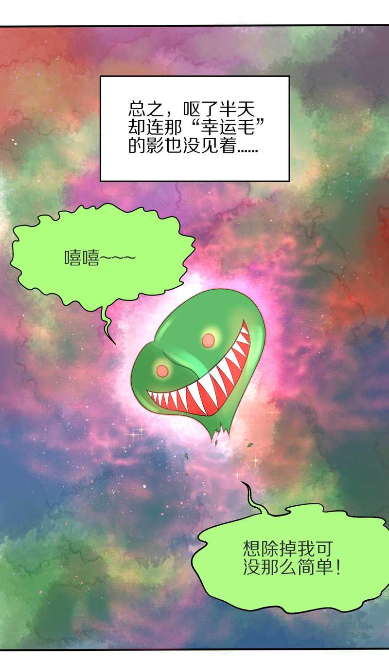毛球星传说 第6集-第6话