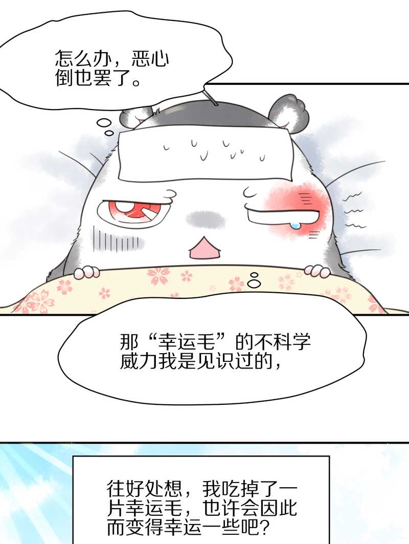 毛球星传说 第6集-第6话