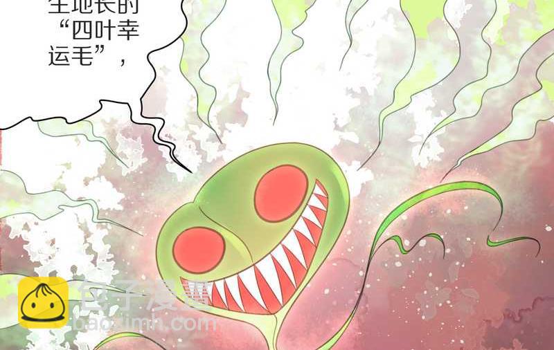 毛球星传说 第6集-第6话