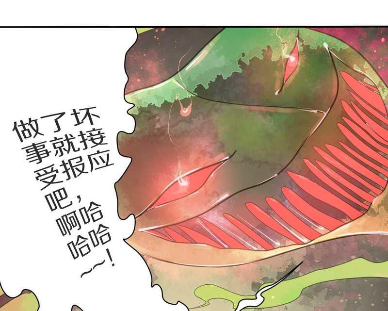 毛球星传说 第6集-第6话
