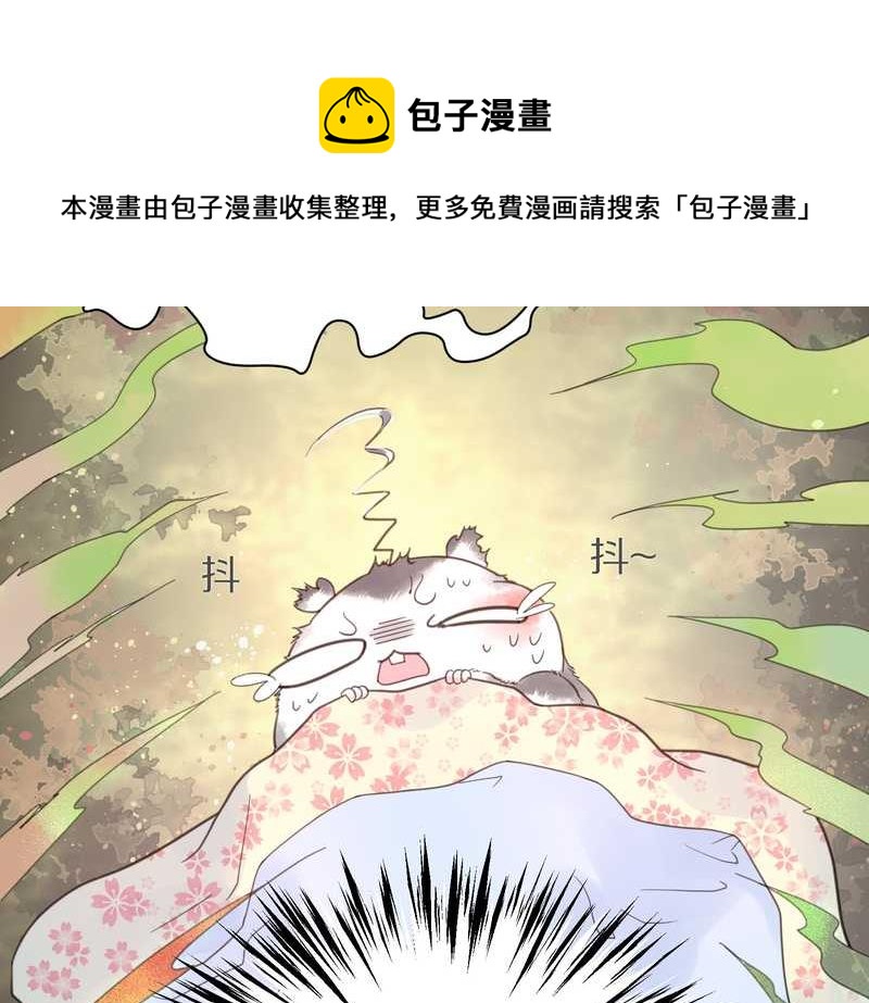 毛球星传说 第6集-第6话