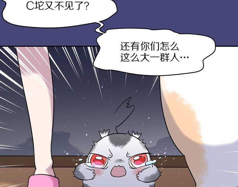 毛球星传说 第52集-第52话