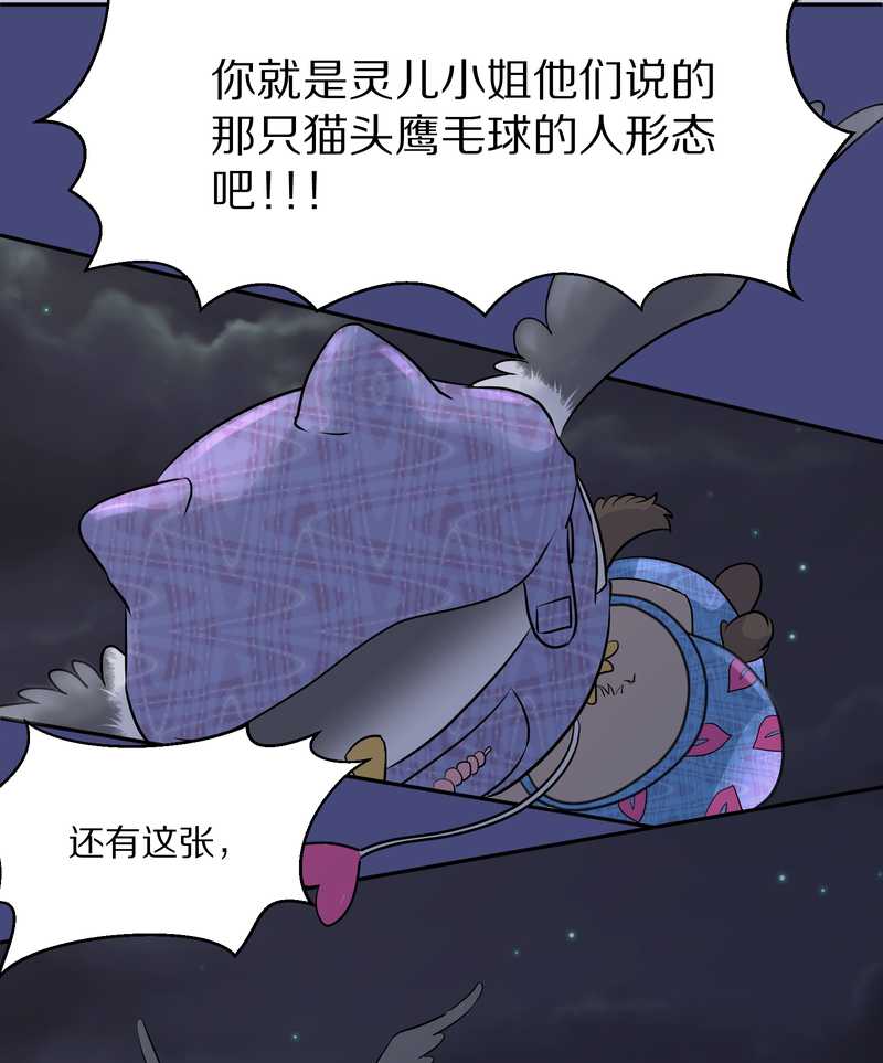 毛球星传说 第52集-第52话