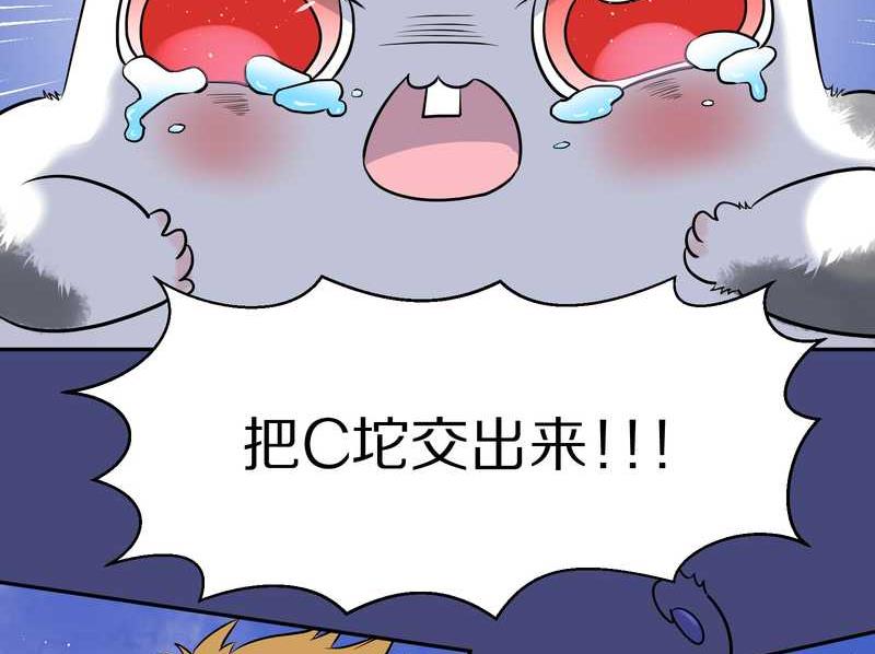 毛球星传说 第52集-第52话