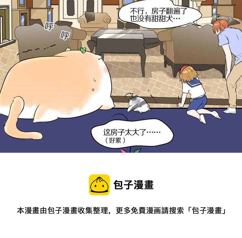 毛球星传说 第52集-第52话