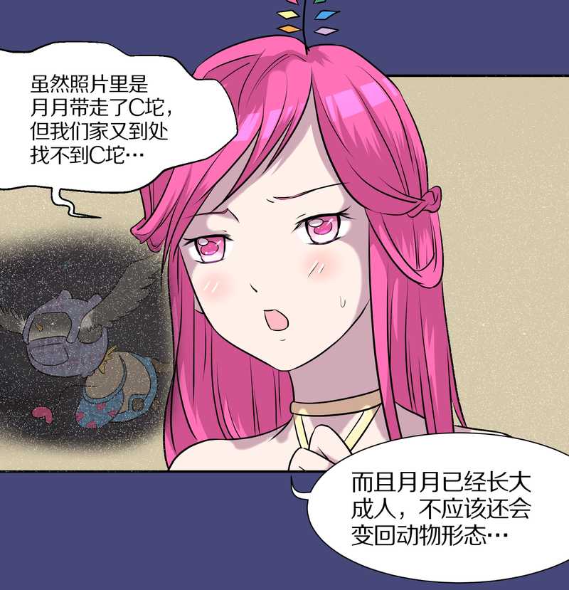 毛球星传说 第52集-第52话