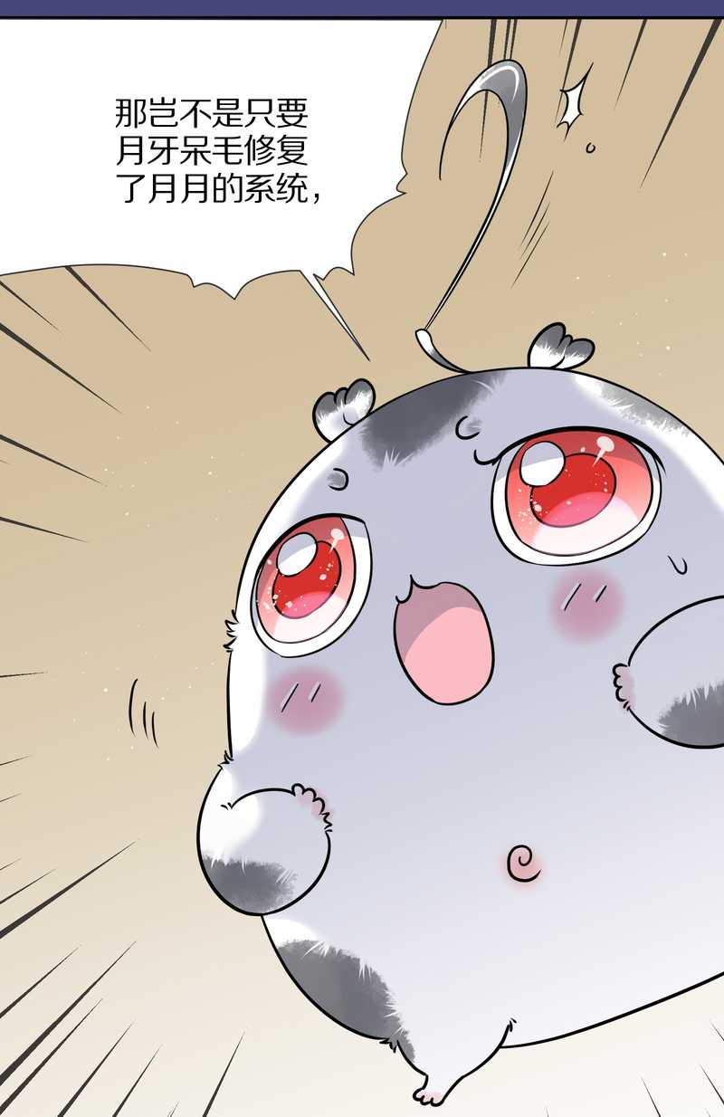 毛球星传说 第52集-第52话