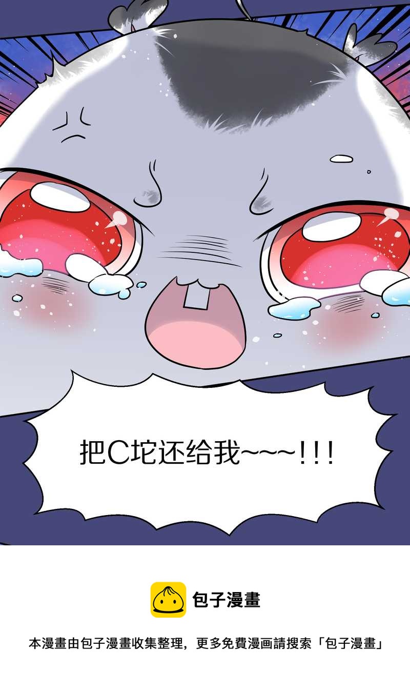 毛球星传说 第52集-第52话