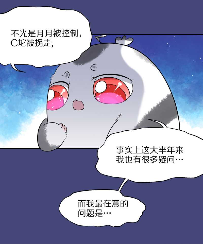 毛球星传说 第54集(1/3)-第54话