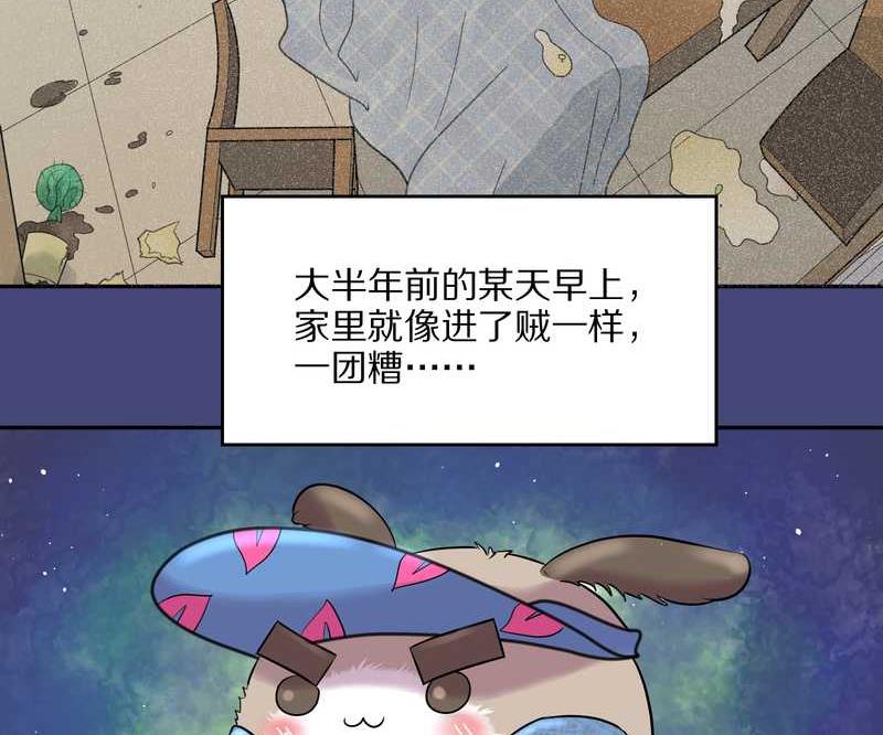 毛球星传说 第54集(1/3)-第54话