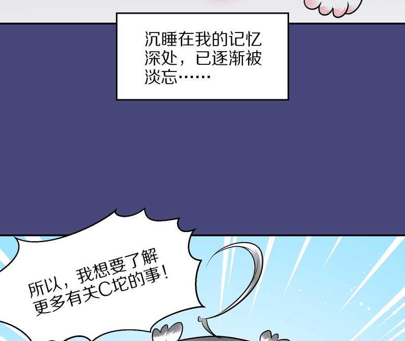 毛球星传说 第54集(1/3)-第54话