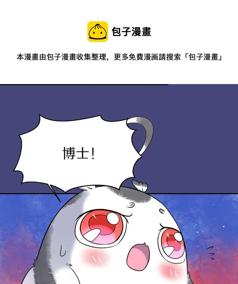 毛球星传说 第54集(1/3)-第54话