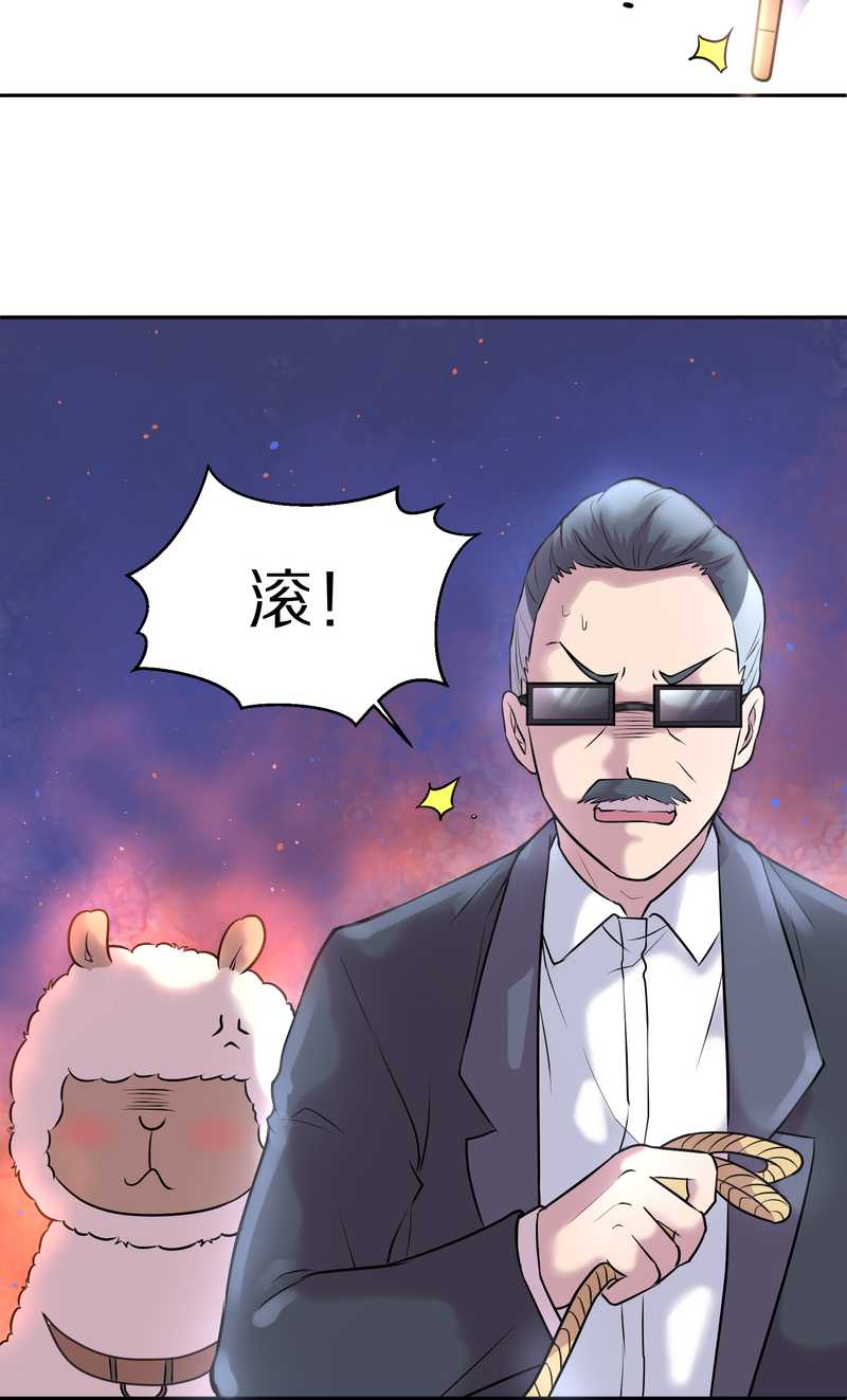 毛球星传说 第56集(1/2)-第56话