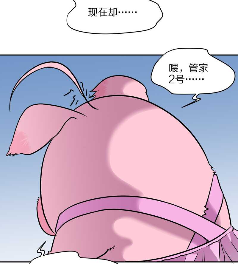 毛球星传说 第56集(1/2)-第56话