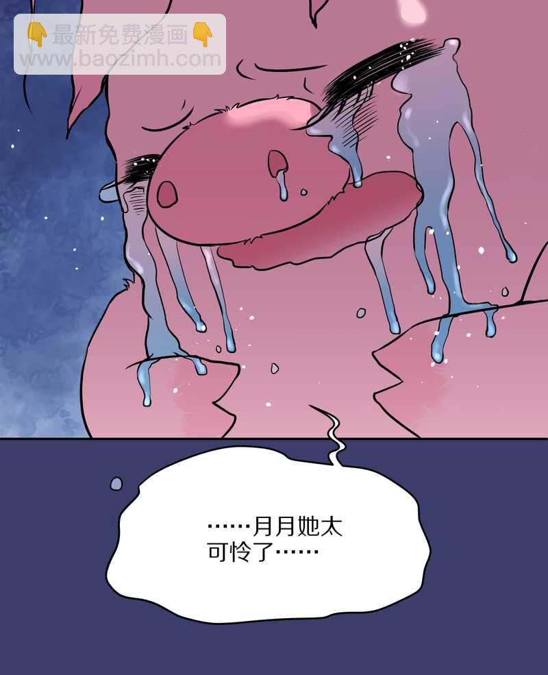 毛球星传说 第56集(1/2)-第56话