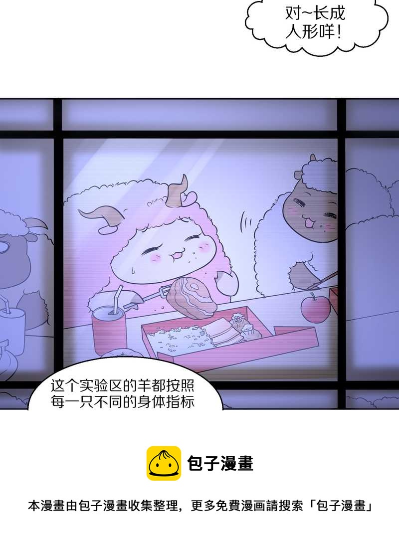 毛球星传说 第58集-第58话
