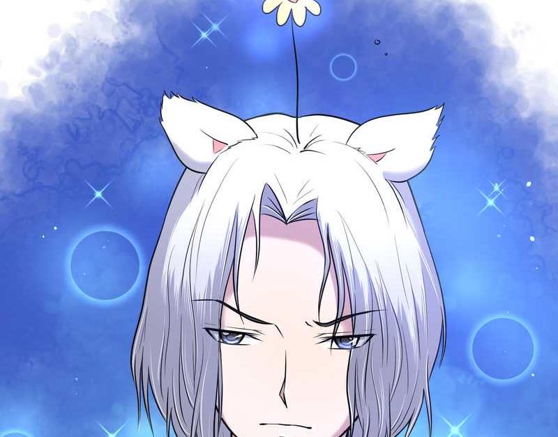 毛球星传说 第60集(1/2)-第60话