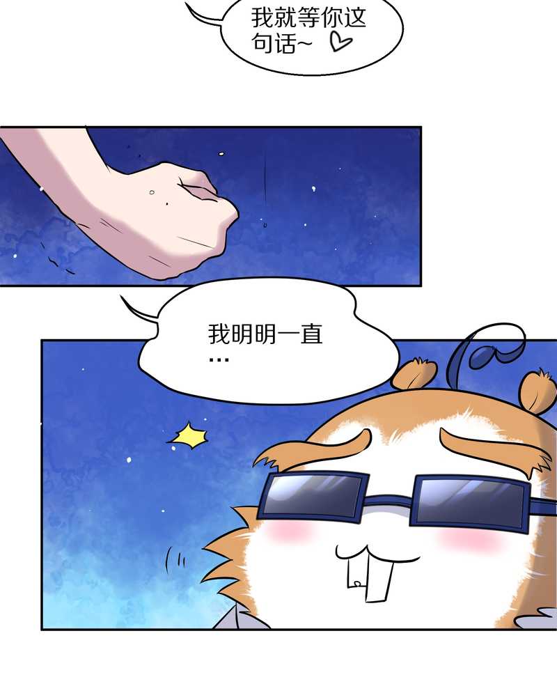 毛球星传说 第60集(1/2)-第60话