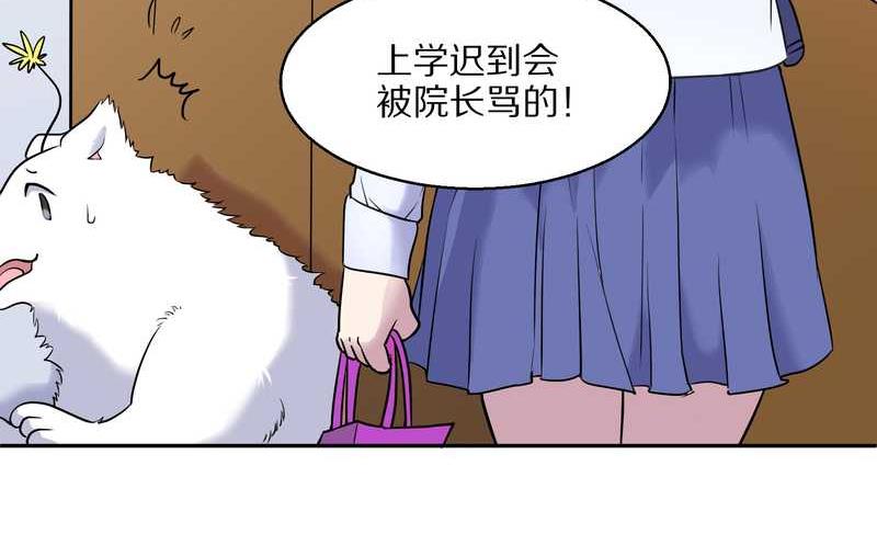 毛球星传说 第60集(1/2)-第60话