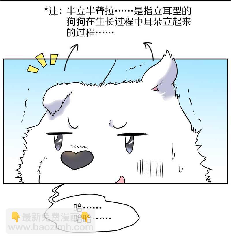 毛球星传说 第60集(1/2)-第60话
