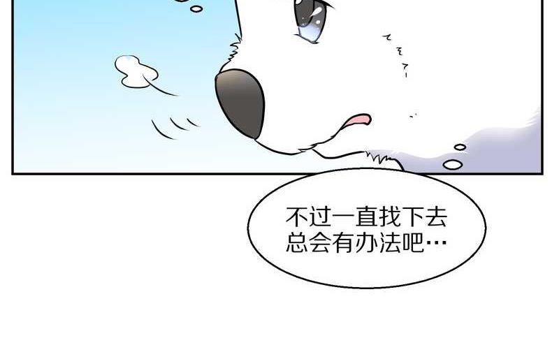 毛球星传说 第60集(1/2)-第60话