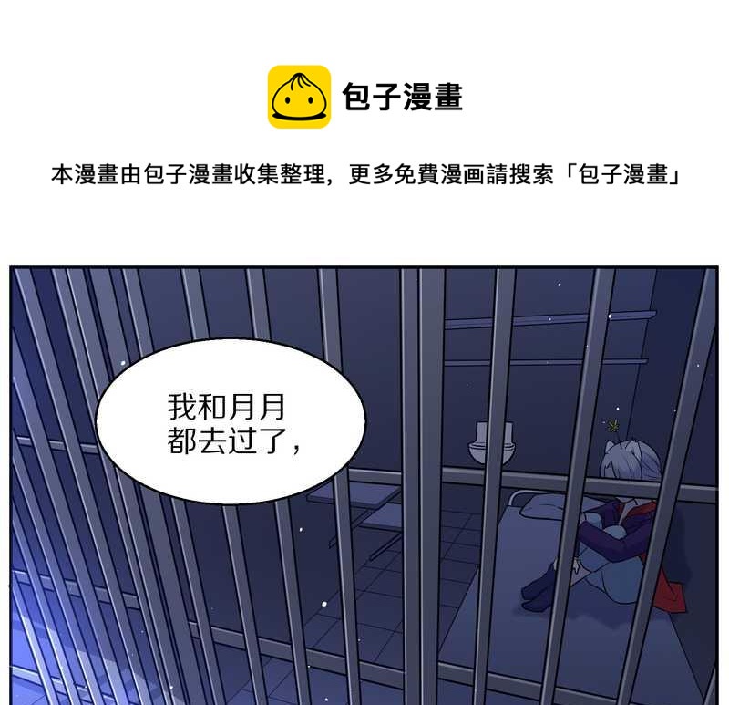 毛球星传说 第62集(1/2)-第62话