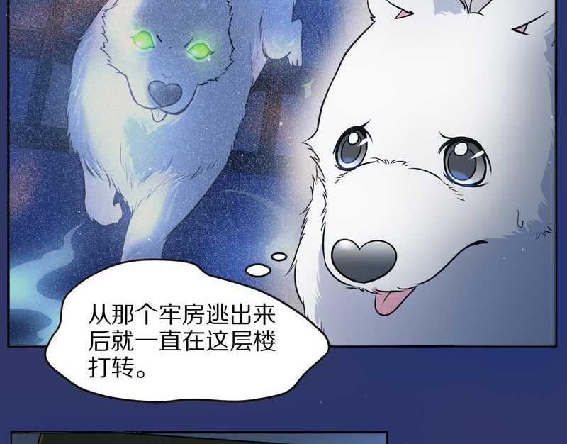 毛球星传说 第66集(1/2)-第66话