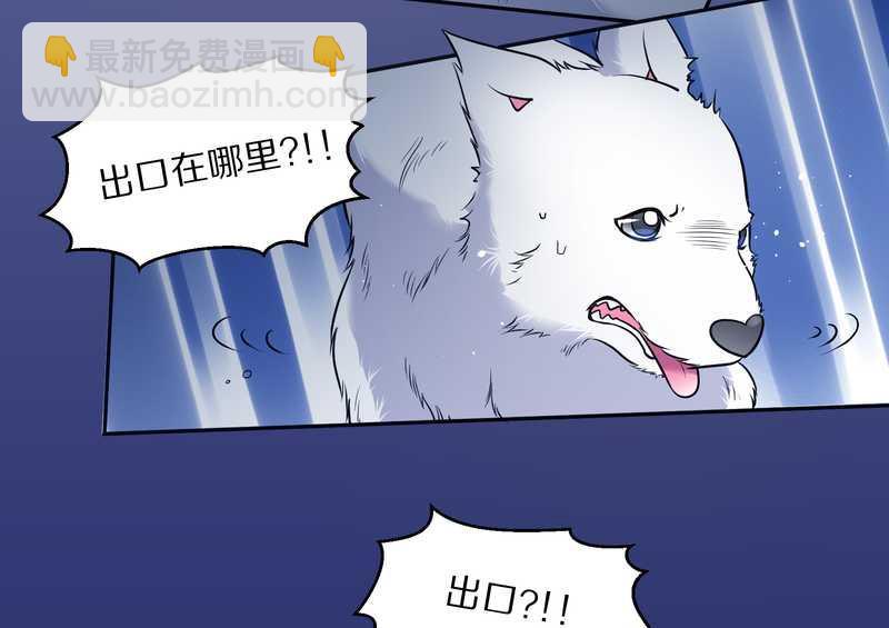 毛球星传说 第66集(1/2)-第66话