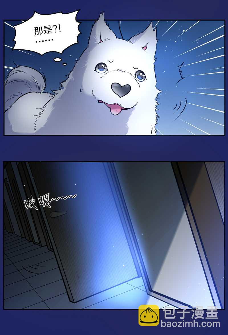 毛球星传说 第66集(1/2)-第66话