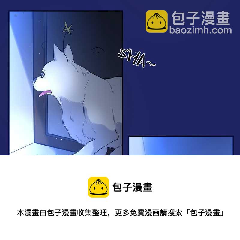 毛球星传说 第66集(1/2)-第66话