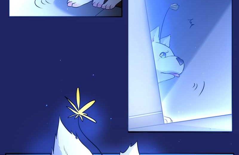 毛球星传说 第66集(1/2)-第66话