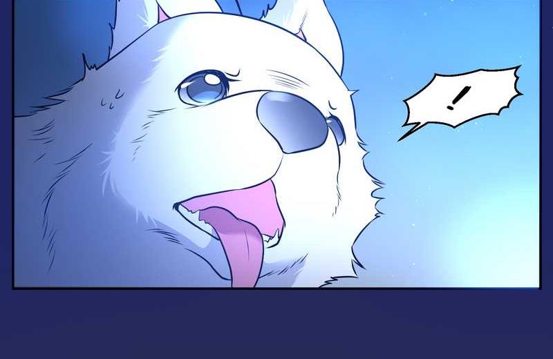 毛球星传说 第66集(1/2)-第66话
