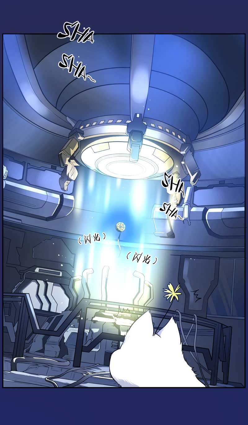 毛球星传说 第66集(1/2)-第66话
