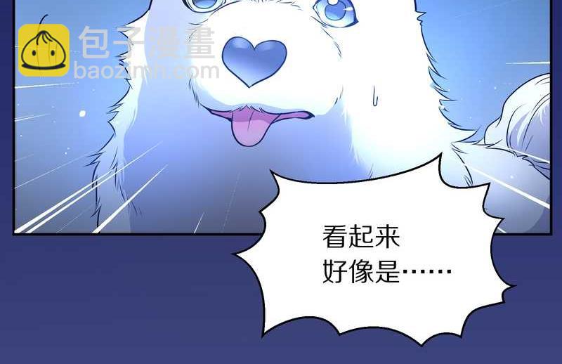 毛球星传说 第66集(1/2)-第66话