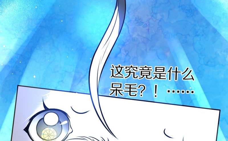 毛球星传说 第66集(1/2)-第66话