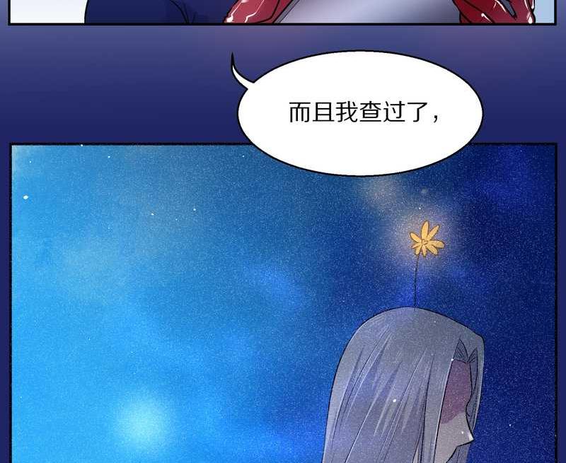 毛球星传说 第66集(1/2)-第66话