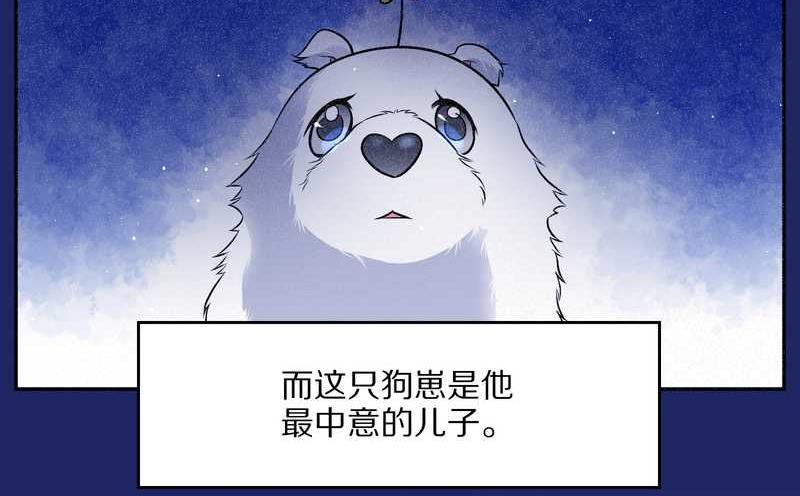 毛球星传说 第66集(1/2)-第66话